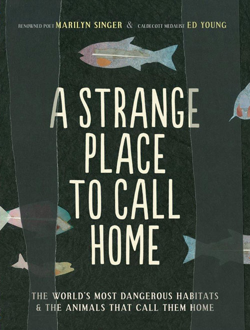 strange-place-to-call-home