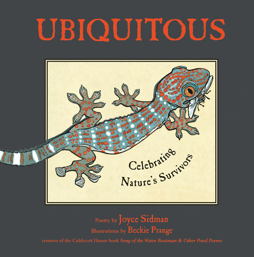 ubiquitous