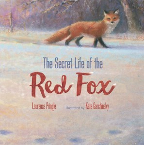 Secret Life of the Red Fox