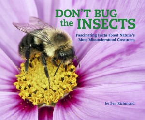 Don't Bug the Insects