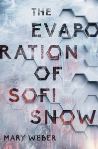 Evaporation of Sofi Snow