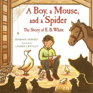 Boy, a Mouse, and a Spider