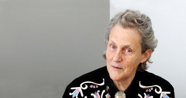 Temple Grandin is Calling All Minds to Tinker – Mackin Community