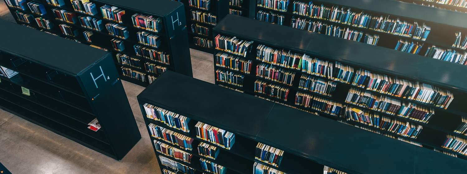 Library Blog – Mackin Community