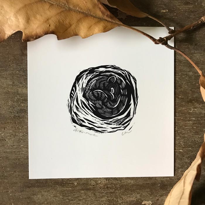 cm-art1