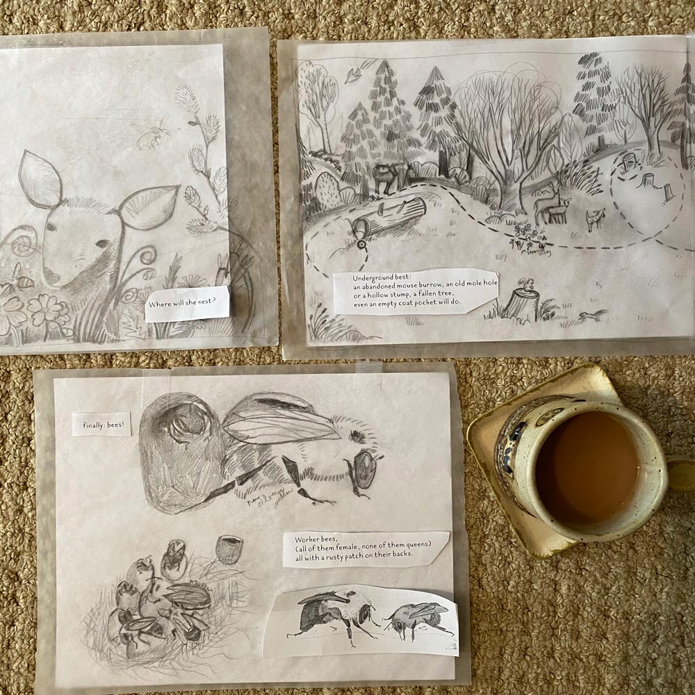 cm-sketches1