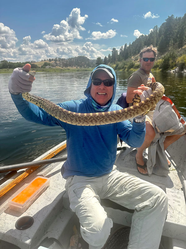 ch-snake